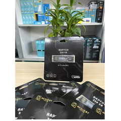 SSD RAPTOR M.2 NVME 3.0 256GB