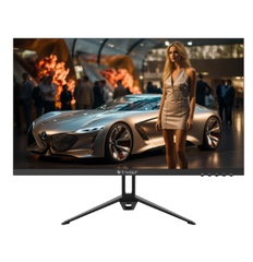 Màn hình LCD T-Wolf 24inch IPS FullHD 100hz