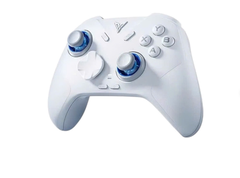 Tay cầm game FLYDIGI Direwolf 4