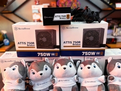 Nguồn SilverStone SST-AT750R-BF ATTIS 750R 80 PLUS Bronze 750W ATX 3.1
