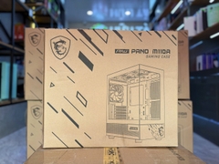 CASE MSI PAG PANO M110A
