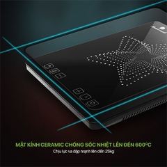 Bếp từ đơn SMARTCOOK 3869