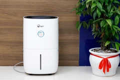 Máy hút ẩm kèm lọc không khí FUJIE