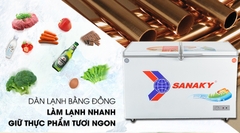 Tủ đông SANAKY 260L