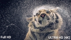 Smart Tivi ASANZO 75inch