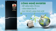 Tủ lạnh PANASONIC Inverter 255L
