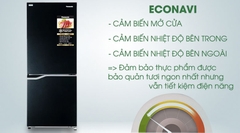 Tủ lạnh PANASONIC Inverter 255L