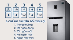 Tủ lạnh SAMSUNG Inverter 319L
