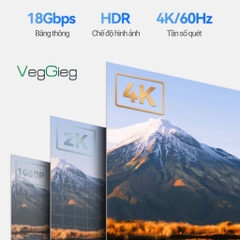 Cáp HDMI 2.0 VegGieg 4K60Hz V-H107 (dài 1,5m - 20m)