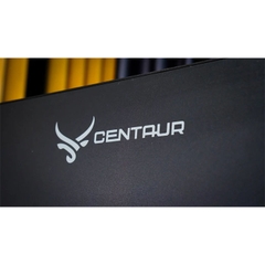 MÀN HÌNH CENTAUR CT2405HM-B (23.8 INCH| FHD| IPS| 100HZ| 5MS| BLACK)