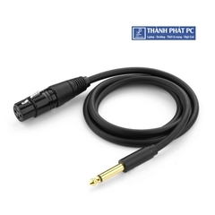 Cáp chuyển đổi từ 6.5mm sang AV Cannon (XLR) âm dài 15m Ugreen 20725