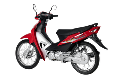 HALIM 50W1 – 50W2