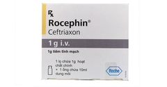 Thuốc tiêm Rocephin Ceftriaxon điều trị nhiễm khuẩn huyết, viêm màng não (1g)