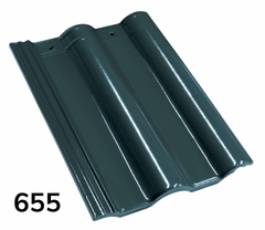 Ngói màu Tokyo Japan 655