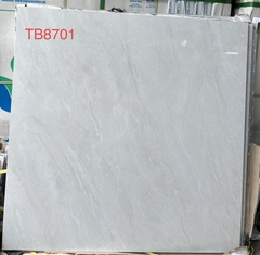 Gạch ốp lát TB602, TB803, TB808, TB809, TB610, TB811, TB8701, TB8705, TB8707