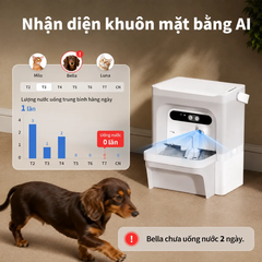 Máy lọc nước cho chó mèo PETKIT Eversweet Ultra