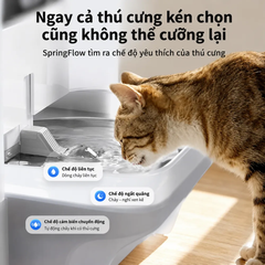 Máy lọc nước cho chó mèo PETKIT Eversweet Ultra
