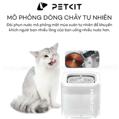 Máy lọc nước PETKIT Solo SE - Bơm không dây