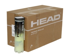 Thùng Bóng Tennis Head Tour XT (18 lon 4 bóng)
