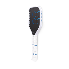 Vợt tập điểm ngọt Holbrook