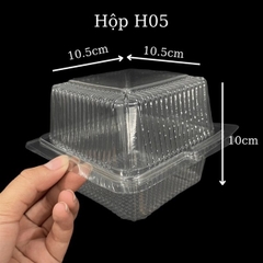 Hộp Vuông H05 (100 cái)