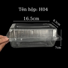 Hộp H04 To (100 cái)