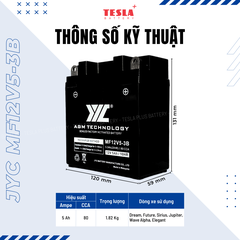 Ắc quy xe máy JYC MF12V5-3B