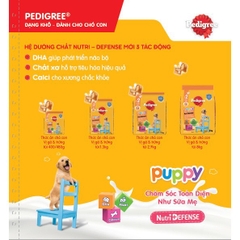 Thức Ăn Chó Con Dạng Hạt Pedigree Vị Gà, Trứng & Sữa 1.3kg
