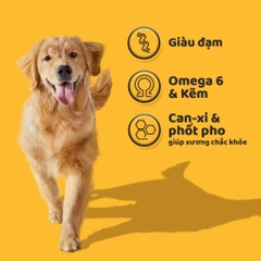 Thức Ăn Dạng Hạt Cho Chó Lớn PEDIGREE Vị Gà Và Rau Củ 1.5kg