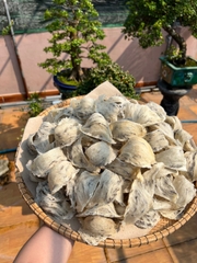 yến thô