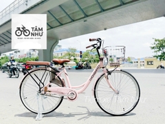 Xe Đạp Mini Thống Nhất LD 26