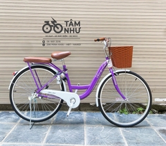 Xe Đạp Mini Thống Nhất New 24