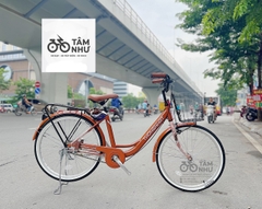 Xe Đạp Mini Thống Nhất LD 24