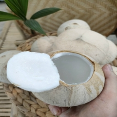 DỪA XIÊM