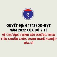 Quyết định 1743/QĐ-BYT năm 2022 của Bộ Y tế về Chương trình bồi dưỡng theo tiêu chuẩn chức danh nghề nghiệp bác sĩ