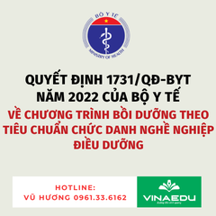Quyết định 1731/QĐ-BYT năm 2022 của Bộ Y tế về Chương trình bồi dưỡng theo tiêu chuẩn chức danh nghề nghiệp điều dưỡng