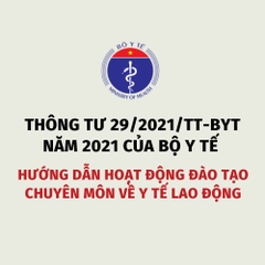 THÔNG TƯ 29/2021/TT-BYT HƯỚNG DẪN HOẠT ĐỘNG ĐÀO TẠO CHUYÊN MÔN VỀ Y TẾ LAO ĐỘNG