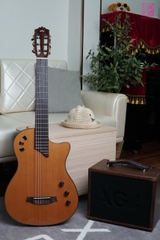 Guitar Cordoba Stage Traditional CD Thinbody