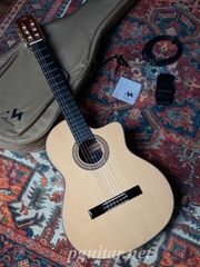 Guitar Murcia T1-CE