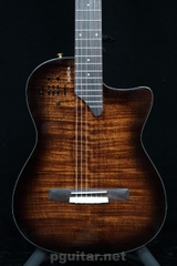 Đàn guitar điện Murcia Stage Pro