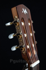Đàn guitar semi classic Murcia Fusion Rose