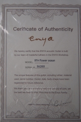 Guitar Enya Flowers Ocean Limited EQ LR Baggs Anthem Tru-mic