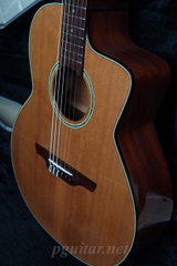 Guitar Takamine PTU620NC