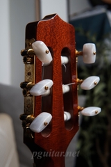 Guitar Takamine PTU620NC