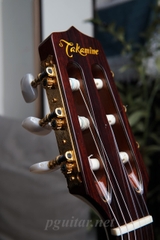 Guitar Takamine PTU620NC