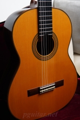 Guitar Toshihiko Nakade Master 50 (2006)