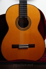 Guitar Toshihiko Nakade Master 50 (2006)