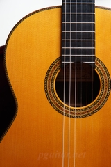 Guitar Toshihiko Nakade Master 50 (2006)