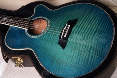 Guitar Takamine Decoy LTD2016 - Phiên bản giới hạn