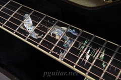 Guitar Takamine Decoy LTD2016 - Phiên bản giới hạn